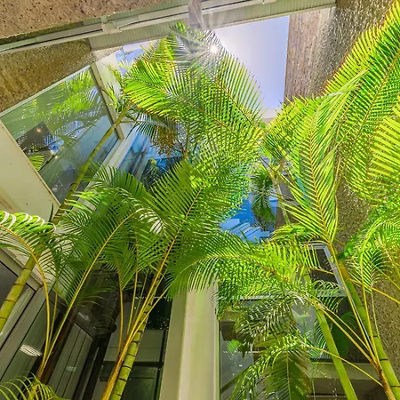 Lux 31 Costa Adeje (Tenerife)