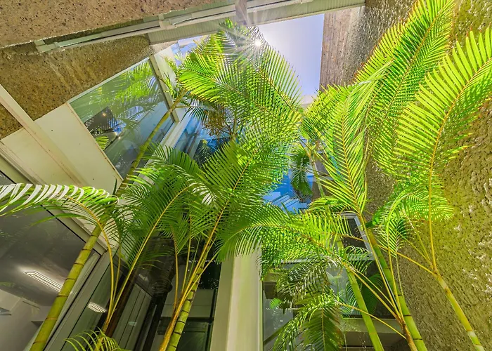 Lux 31 Costa Adeje (Tenerife)